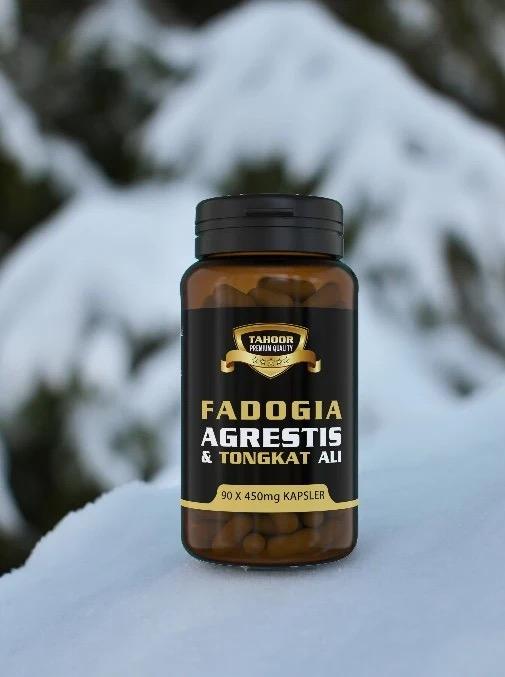 Wild Fadogia og Tongkat Ali