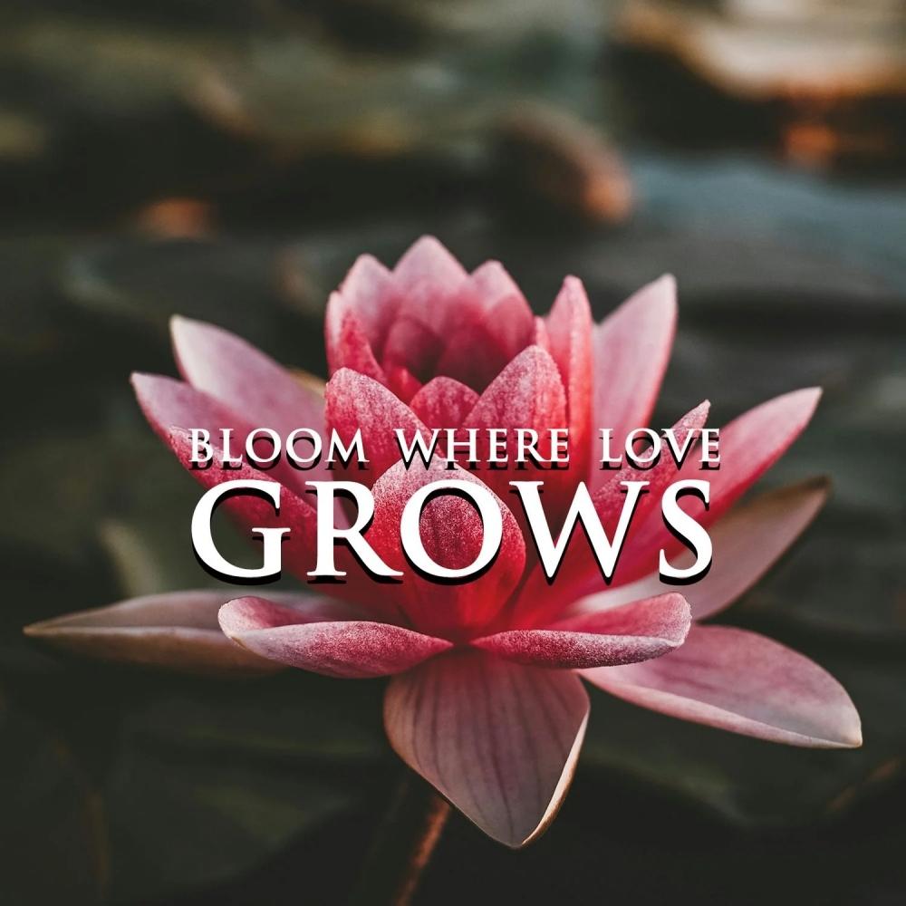 Blomst der kjærligheten vokser